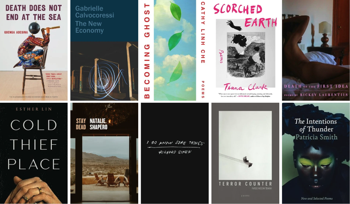 2025 National Book Award Longlists for Poetry, traduit littérature annoncée