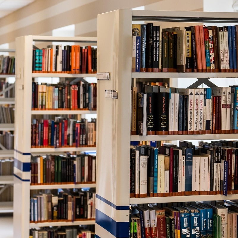 Les meilleures histoires de bibliothèques de 2025