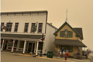 Les incendies de forêt impactent les librairies des zones touristiques
